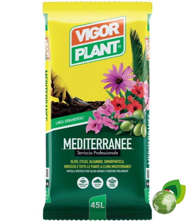 Mediterranee