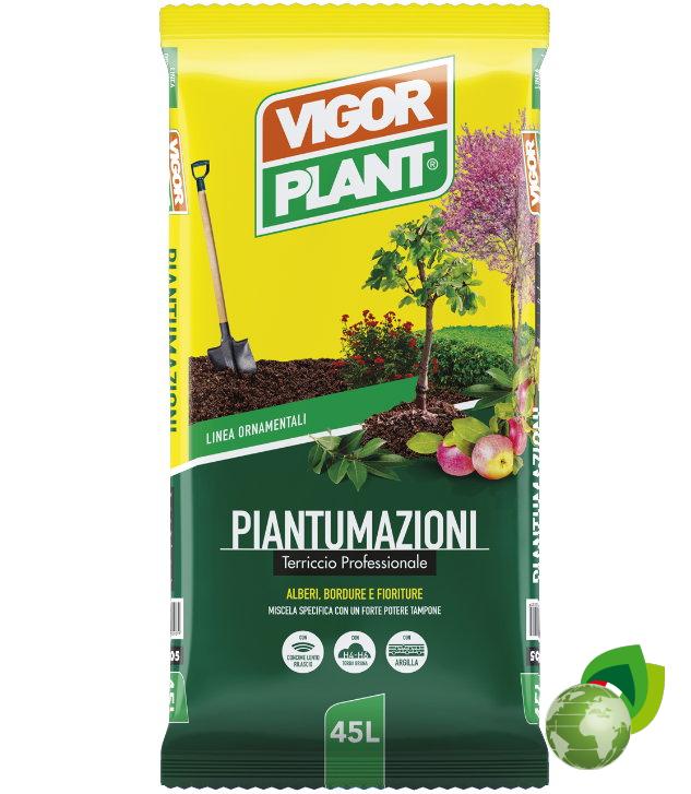 Piantumazioni
